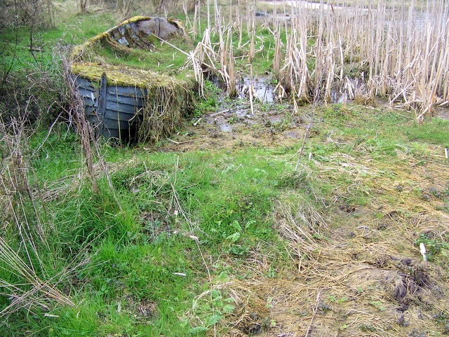 A boat beside Lough Corrib, Ireland
